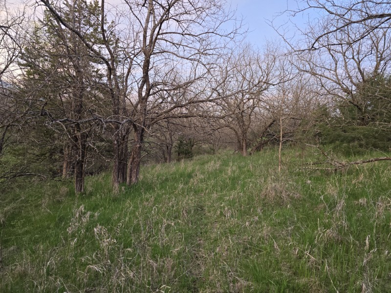 Listing photo 46